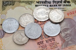 India Wildlife Holidays - indian currency